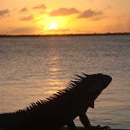 Bonaire