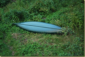 Summer House July 29  - Canoe in Garden