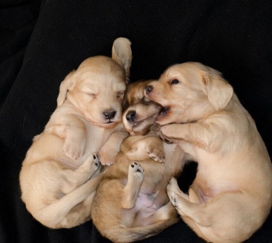 [funny-animals-haha-33%255B2%255D.jpg]