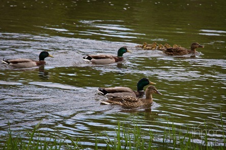 IMG_1020 IMG_1020