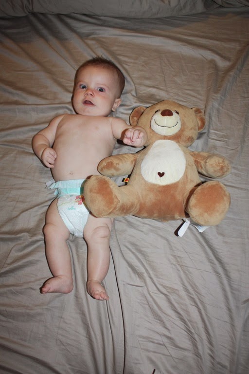 [bear%2520pics%2520mt%2520lemmon%2520clay%2520priesthood%2520015%255B4%255D.jpg]