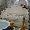 IMGP7388.JPG