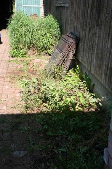 [IMG_1550%255B3%255D.jpg]