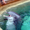 Florida 106.jpg