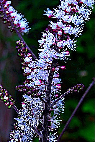 [DSC_0457_edited-1%255B4%255D.jpg]