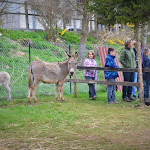 DSC_0112.JPG