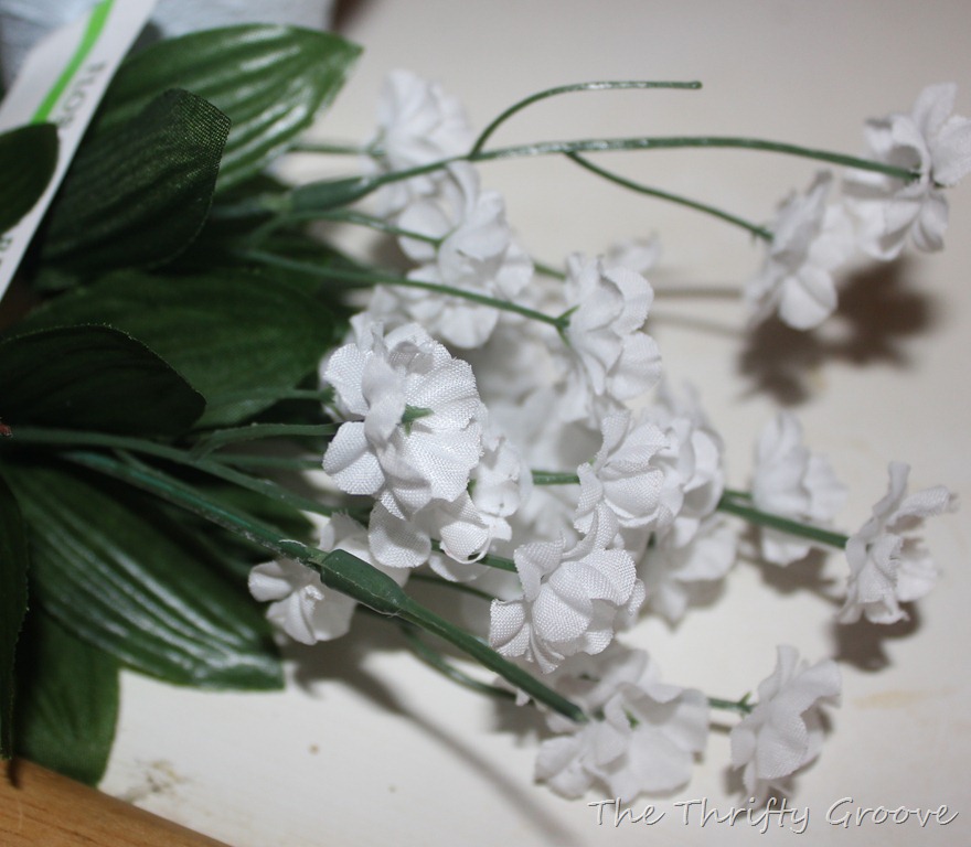 [IMG_07576.jpg]