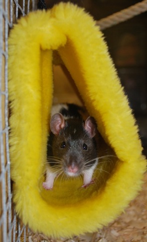 [DSC_0202.jpg1%255B14%255D.jpg]