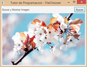 imageView-mostrar imagen