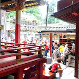 toshogu shrine in Nikko, Japan by Matt van Vuuren in Nikko, Totigi (Tochigi) , Japan