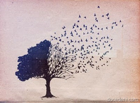 árvore e pássaros
