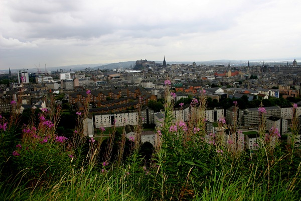 [IMG_01252.jpg]