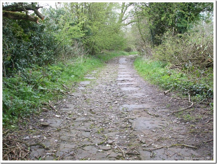 DSCF0566 Rail Setts DSCF0566 Rail Setts