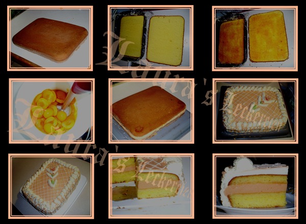 [tort%2520peter1%255B5%255D.jpg]