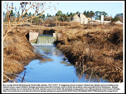 WATERPOLLUTION SPRINGS BLESBOKSPRUIT STRUBENVILLE JULY92011