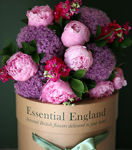 [pink%2520and%2520purple%2520flowers%2520via%2520inspired-desing.tumblr%255B1%255D.png]