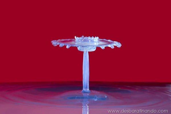 liquid-drop-art-gotas-caindo-foto-velocidade-hora-certa-desbaratinando (14) liquid-drop-art-gotas-caindo-foto-velocidade-hora-certa-desbaratinando (14)