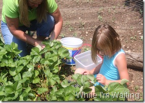 2011 Jun 08_0009 2011 Jun 08_0009