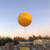 280520101187_nlt.jpg