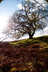 IMG_0256 IMG_0256