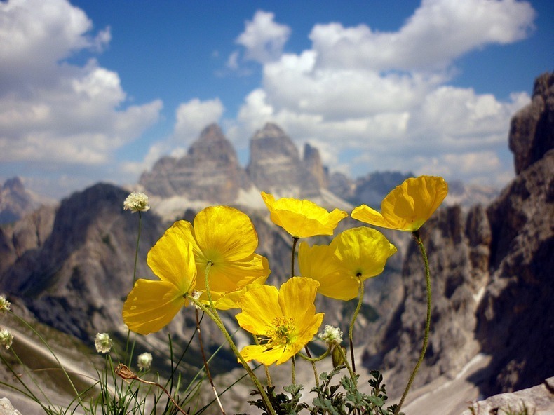 three-peaks-lavaredo-6 three-peaks-lavaredo-6