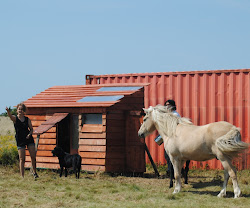 DSC_0785.JPG