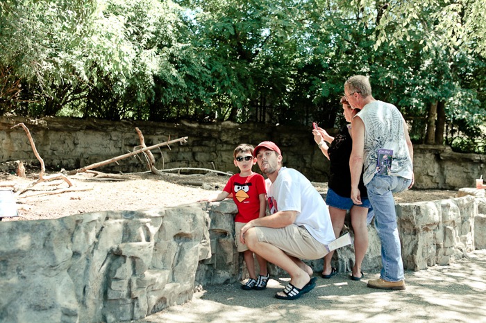 Zoo 2