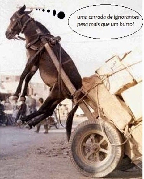 leitura