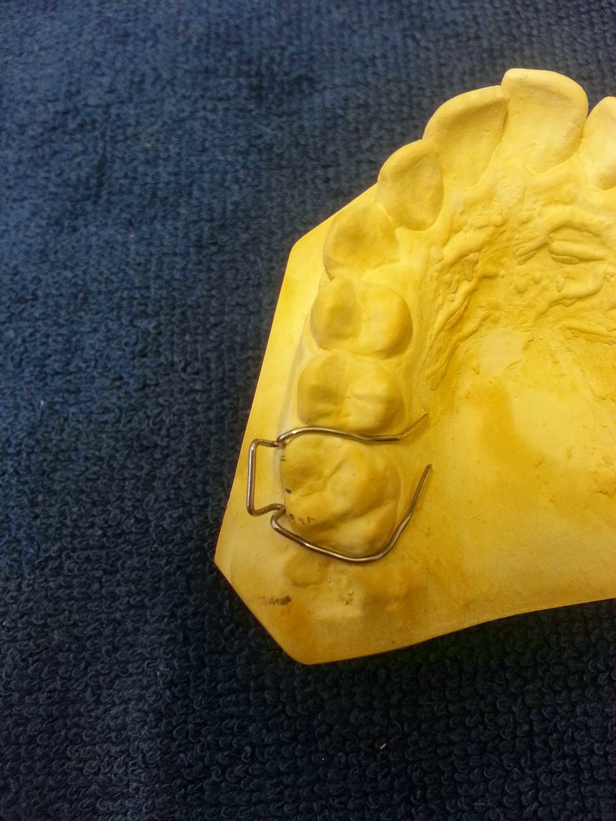 Mrs D's Dental Technology space for student Adams cribs