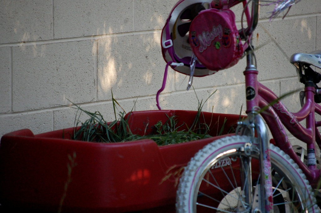 [bikewagon3.jpg]