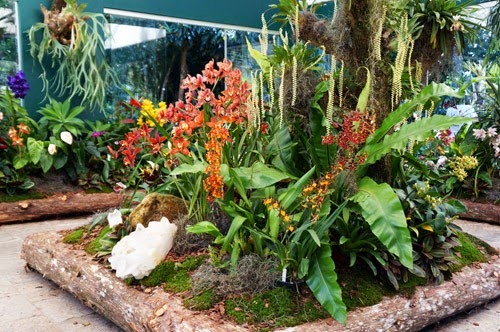 [Ilha%255B3%255D.jpg]