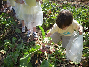Look at that beet!