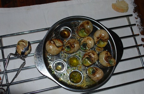 [Snails%255B6%255D.jpg]