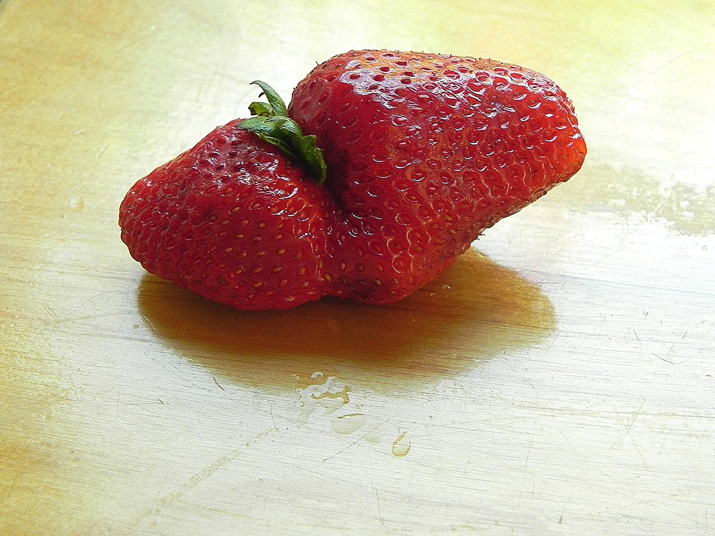 [berry%255B7%255D.jpg&description=Strawberry Buckle')]