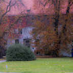 DSC_0190.JPG