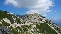 P1110810.JPG