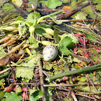 IMG_6563.JPG