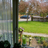 IMGP0111.jpg