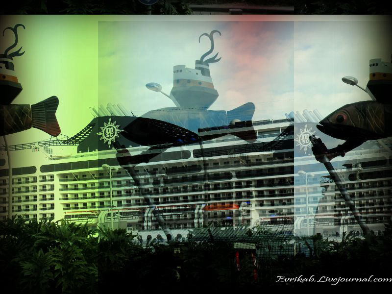 ЗИМНЯЯ ХАЙФА