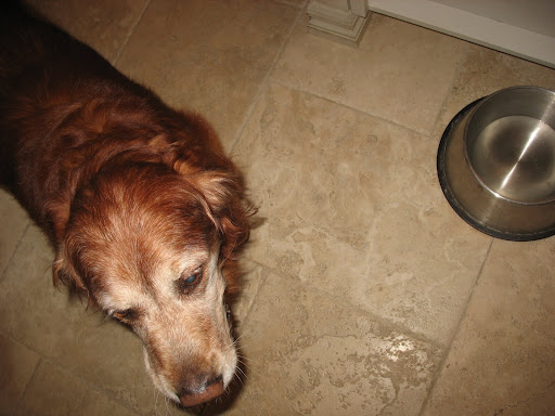 Mothers Day Screensavers: Update Of the Collection