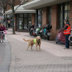 IMG_1149.JPG