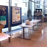 Public day, Brussels