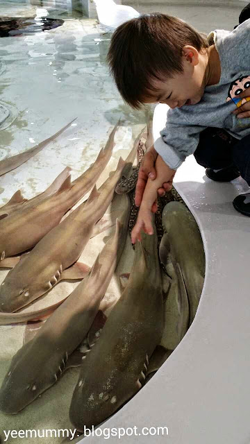 Osaka Aquarium Kaiyukan海游馆 Osaka Aquarium Kaiyukan海游馆
