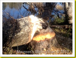 IMG_1064 IMG_1064