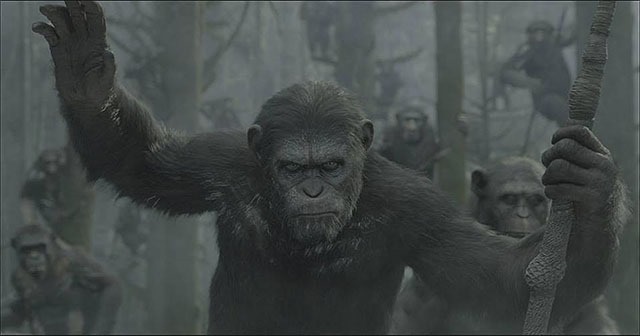 First Dawn of the Planet of the Apes Photo!