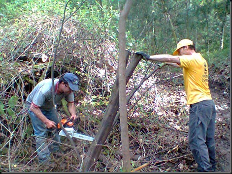 Fotografia0017