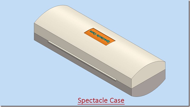 Spectacle Case_2