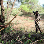 Ein kleines Tier im Gebüsch wird erlegt. © Foto: Marco Penzel | Outback Africa