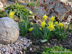 26.4.08 050.jpg 26.4.08 050.jpg