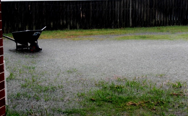 [rain%255B3%255D.jpg]